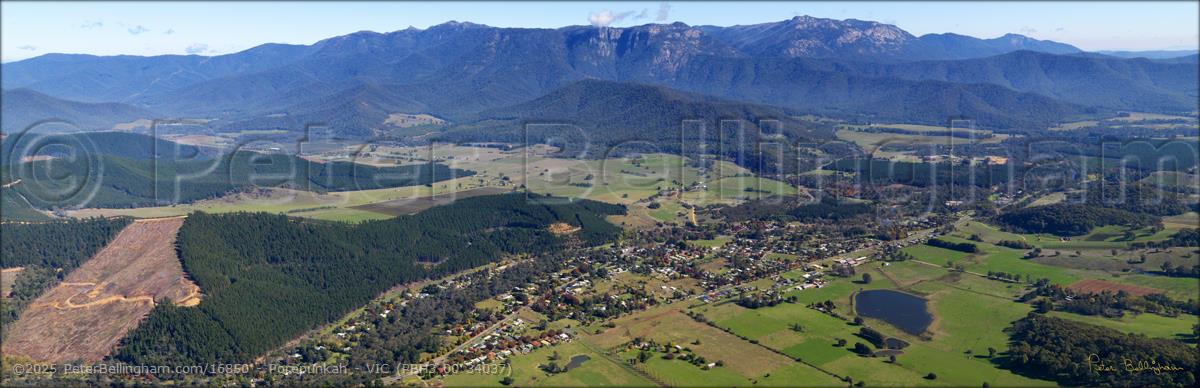 Peter Bellingham Photography Porepunkah - VIC (PBH3 00 34037)